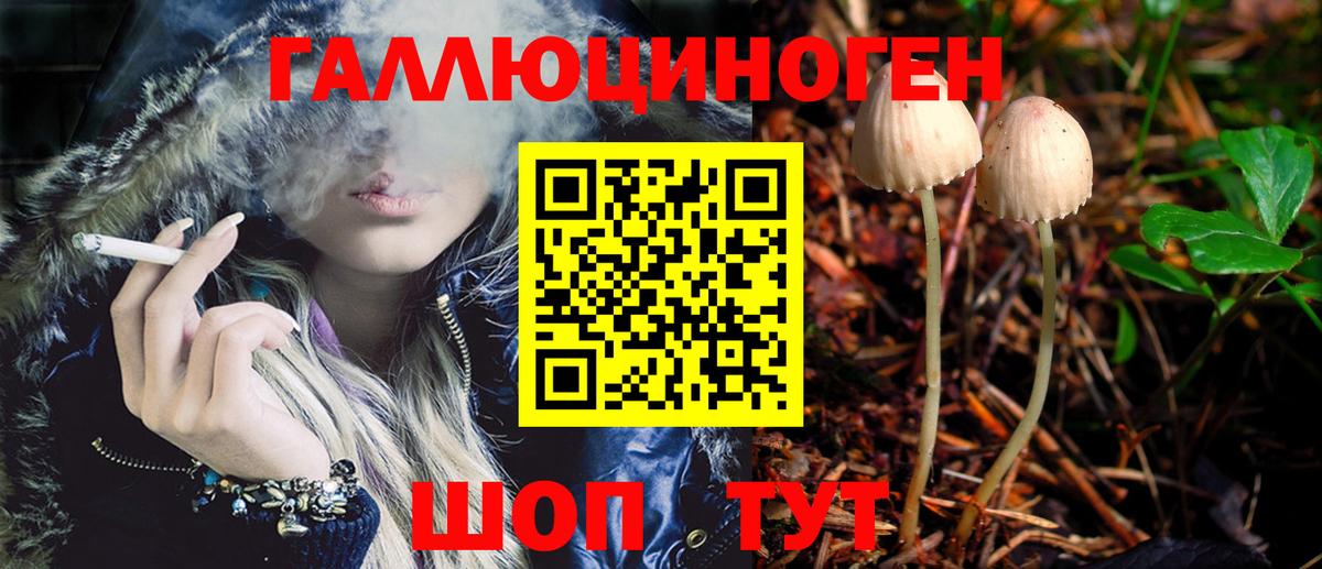 Галлюциногенные грибы Psilocybe  Галлюциногенные грибы ЛСД  Звенигород 