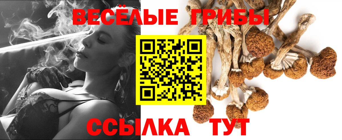 Звенигород  Псилоцибиновые грибы мухоморы  Вход с VPN 
