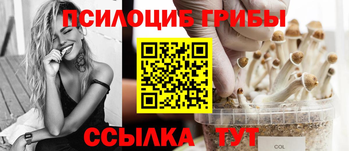 Псилоцибиновые грибы MAGIC MUSHROOMS Звенигород